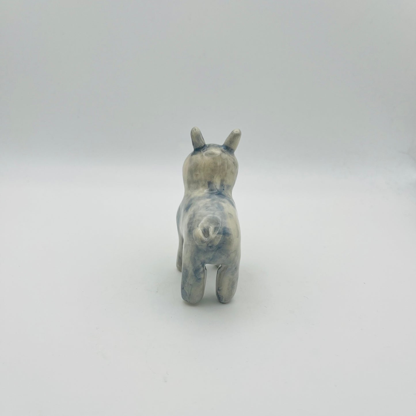 French Bull dog