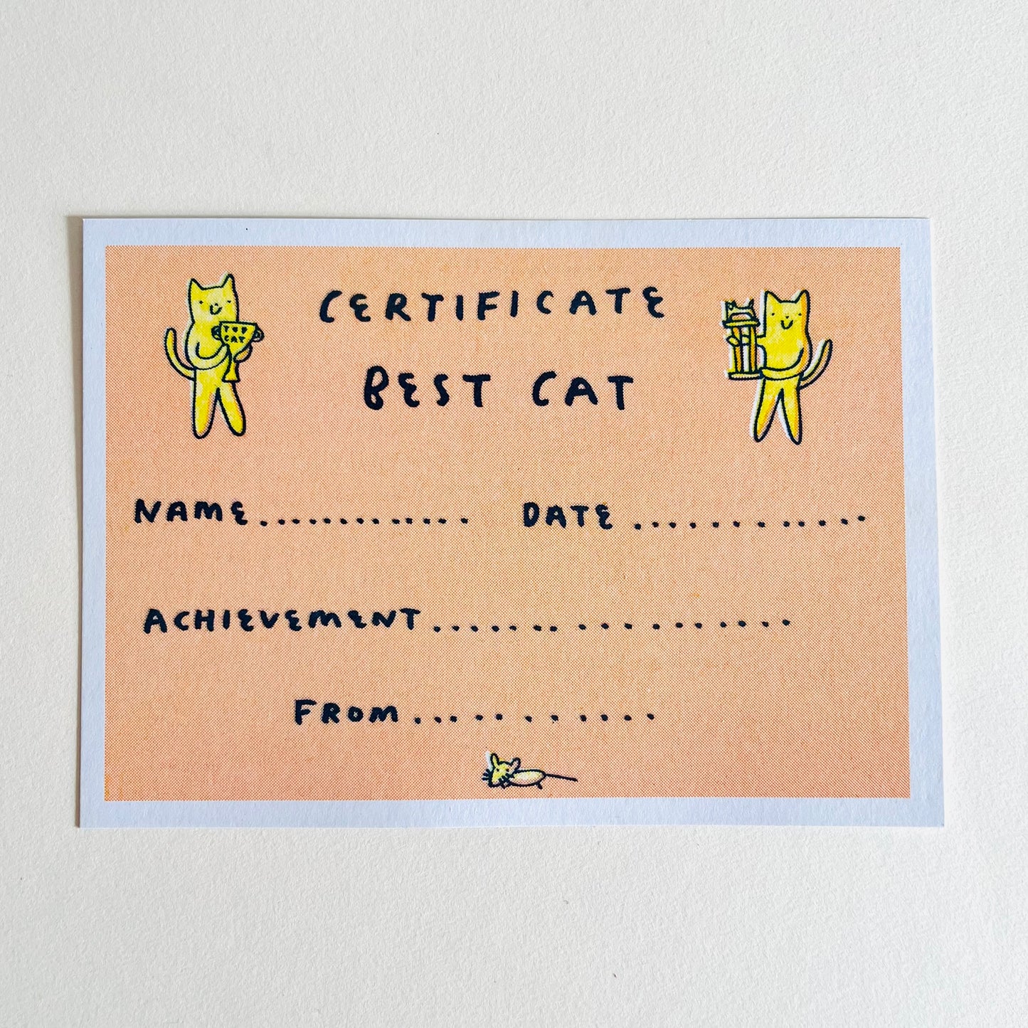 certificate for best cat